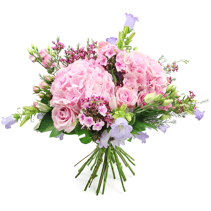 Set against a pristine white background, a lush bouquet of pastel flowers is captured in fine detail, as though freshly finished on a Chingford florist's counter and placed gently for viewing. The main focus is a pair of large, rounded pink hydrangea heads, their countless tiny petals forming dense, cloud-like clusters that give the arrangement its generous fullness. Intertwined with these are several light pink roses in varying stages of bloom: some are open and layered, with classic spiralled centres that speak of timeless romance, while others remain in elegant bud form, their petals wrapped closely as if still waking up, much like roses opening slowly in gardens near Chingford Plain. Rising above and between the rounder blossoms are slender stems tipped with bell-shaped flowers in shades of soft lavender and periwinkle, reminiscent of campanula or other bellflowers. Their delicate fluted forms introduce a vertical, whimsical element that keeps the bouquet from feeling too heavy and adds a suggestion of gentle movement. Nestled deeper within, smaller clusters of deeper fuchsia and dark pink blossoms act as textured accents, bringing depth and richness to the colour palette and enhancing the sense of volume. Fresh green foliage threads through the flowers, with occasional unopened buds adding to the impression of living, growing beauty. At the base, the stems are neatly gathered and trimmed, clearly showing the hand-tied construction that would slip easily into a favourite vase. The overall effect is joyful yet refined, a bouquet that would look perfectly at home on a Chingford kitchen table or in a living room overlooking Hatch Forest, ideal for anniversaries, Mother's Day, or any heartfelt celebration.